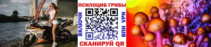 Псилоцибиновые грибы MAGIC MUSHROOMS  Феодосия 